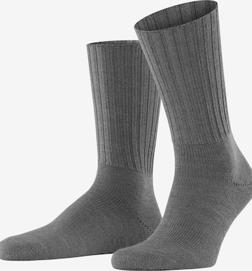 FALKE Socken 'Nelson' in Grau: Vorderseite