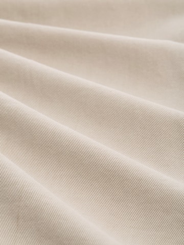 TOM TAILOR DENIM Barrel Jeans 'ADEA' in Grau