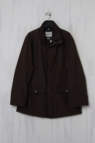 GEOX Jacket & Coat in L-XL in Brown: front