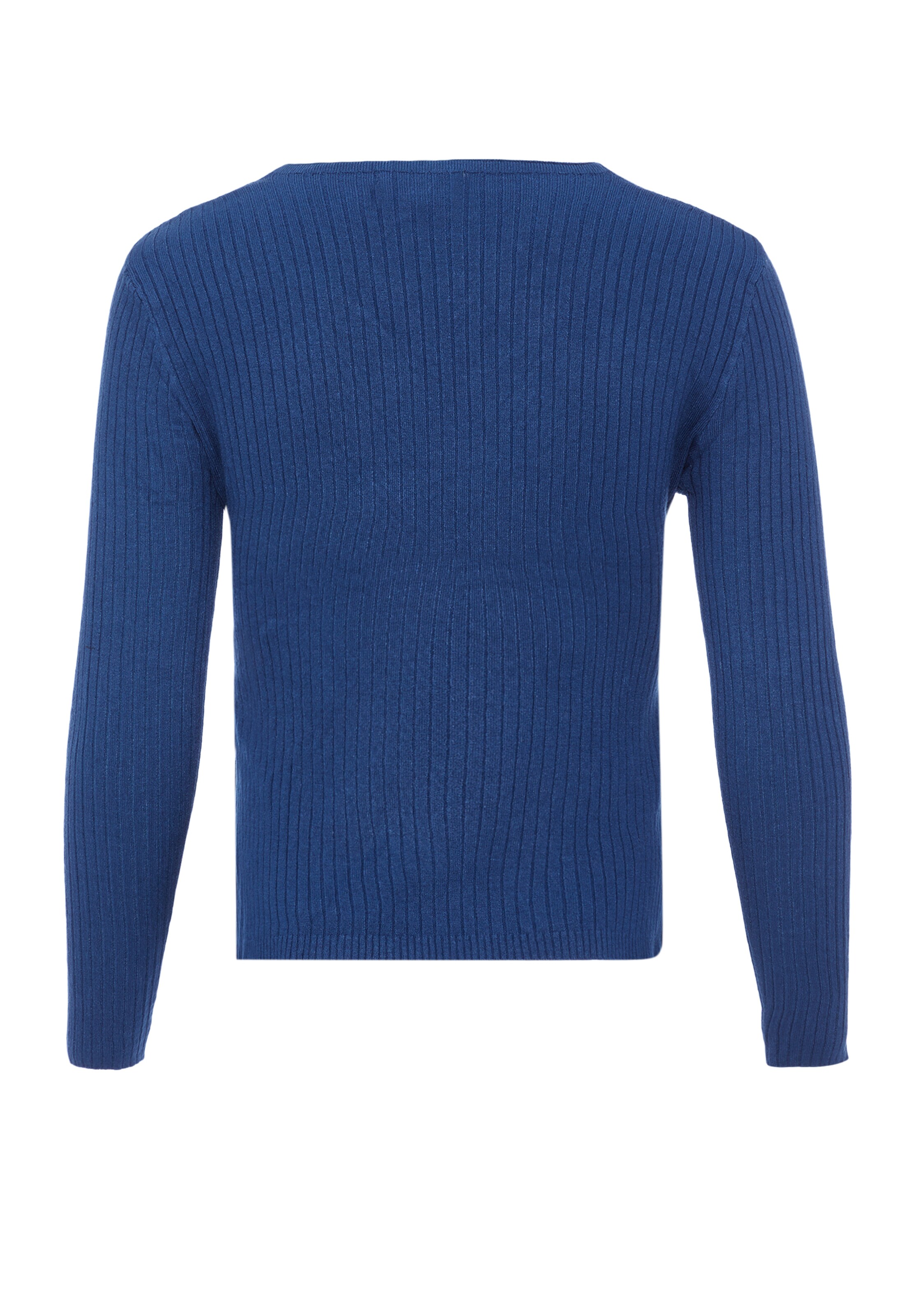 EUCALY Trui in Blauw