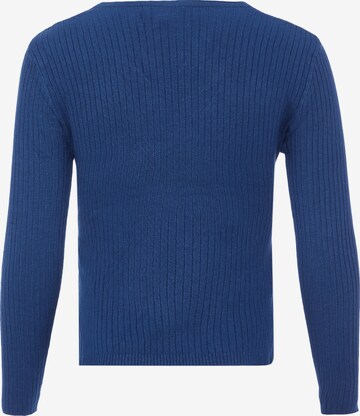 EUCALY Pullover in Blau