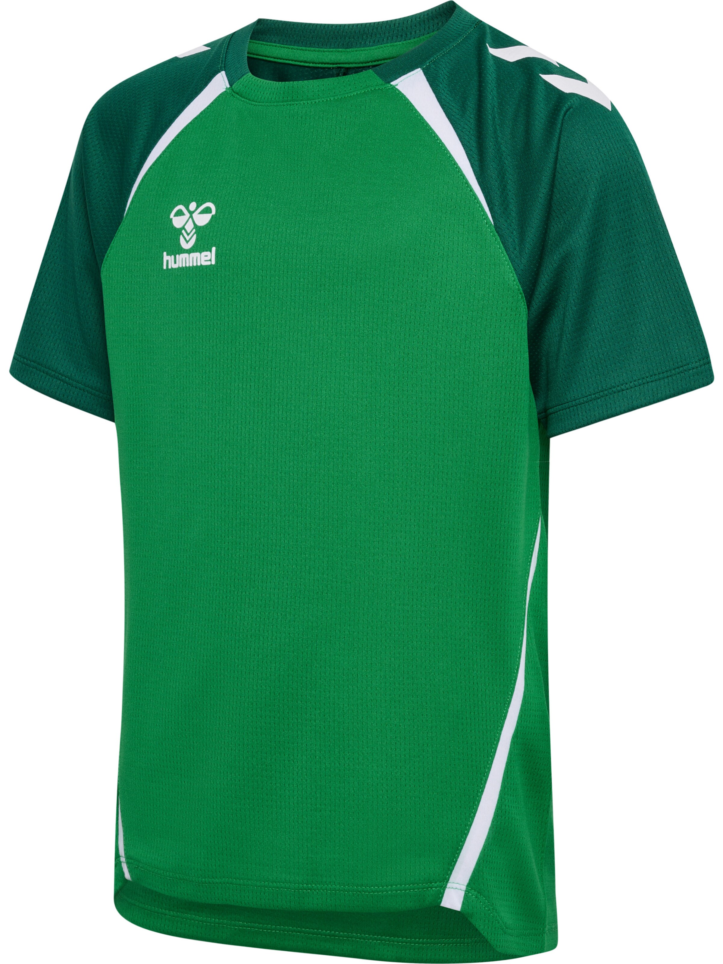 Hummel T-Shirt 'Lead 2.0' in Grün