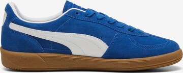 Baskets basses 'Palermo' PUMA en bleu