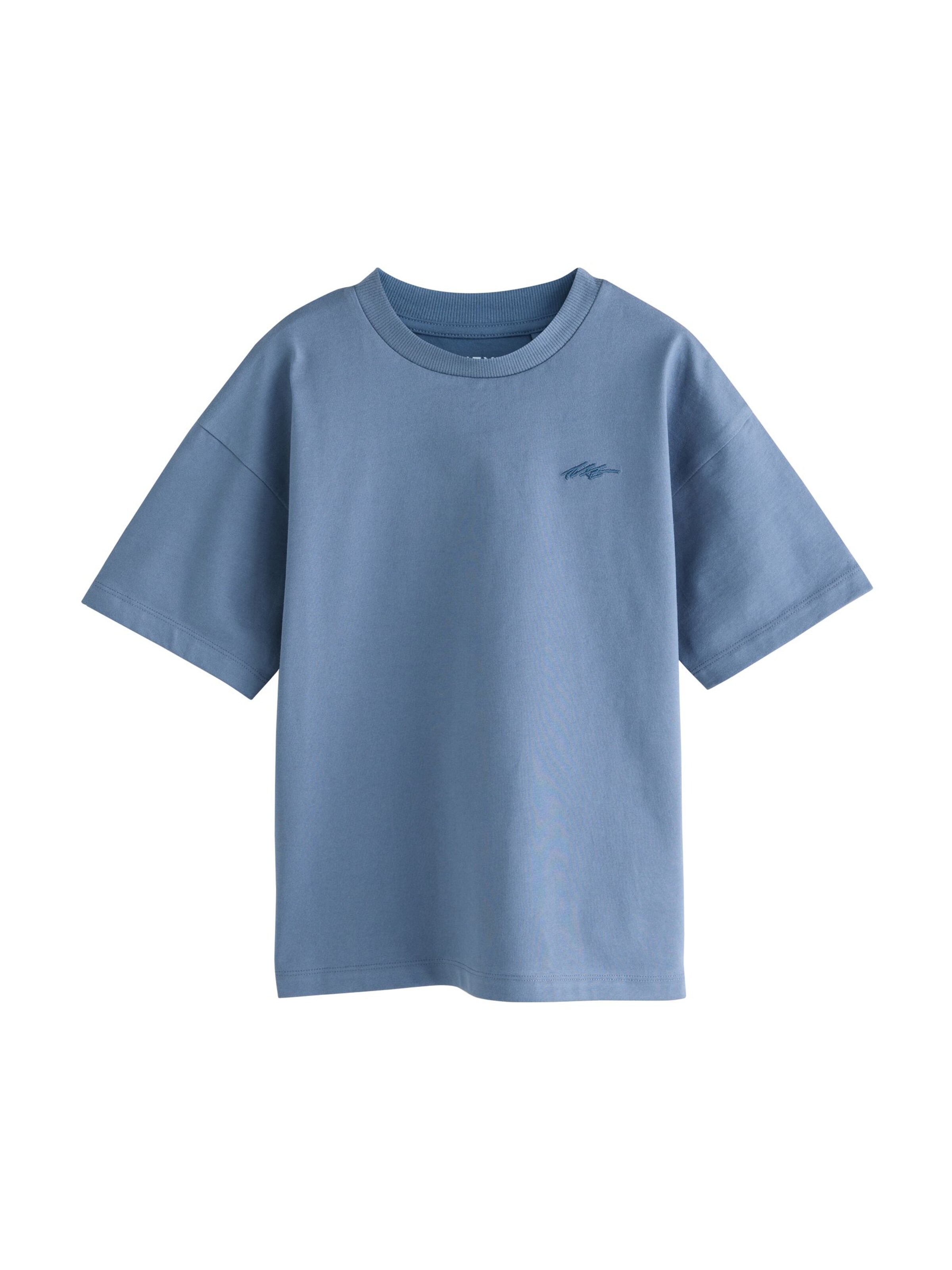 Next Shirt in Blue