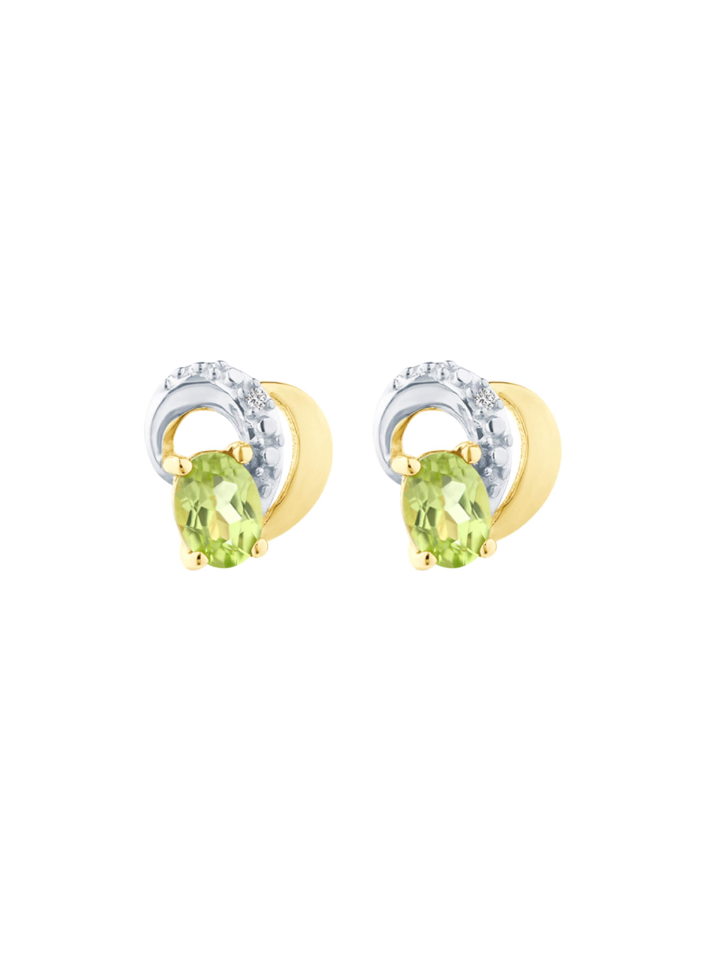 DIAMANT LETERNEL Oorbellen in Goud: voorkant