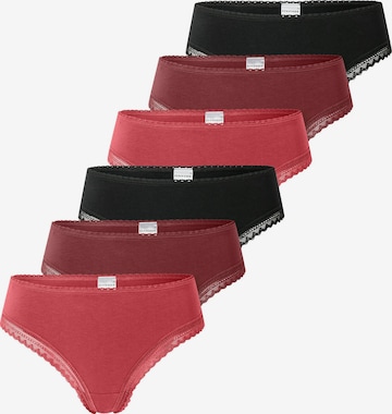 SCHIESSER String ' Modern Multipacks ' in Red: front