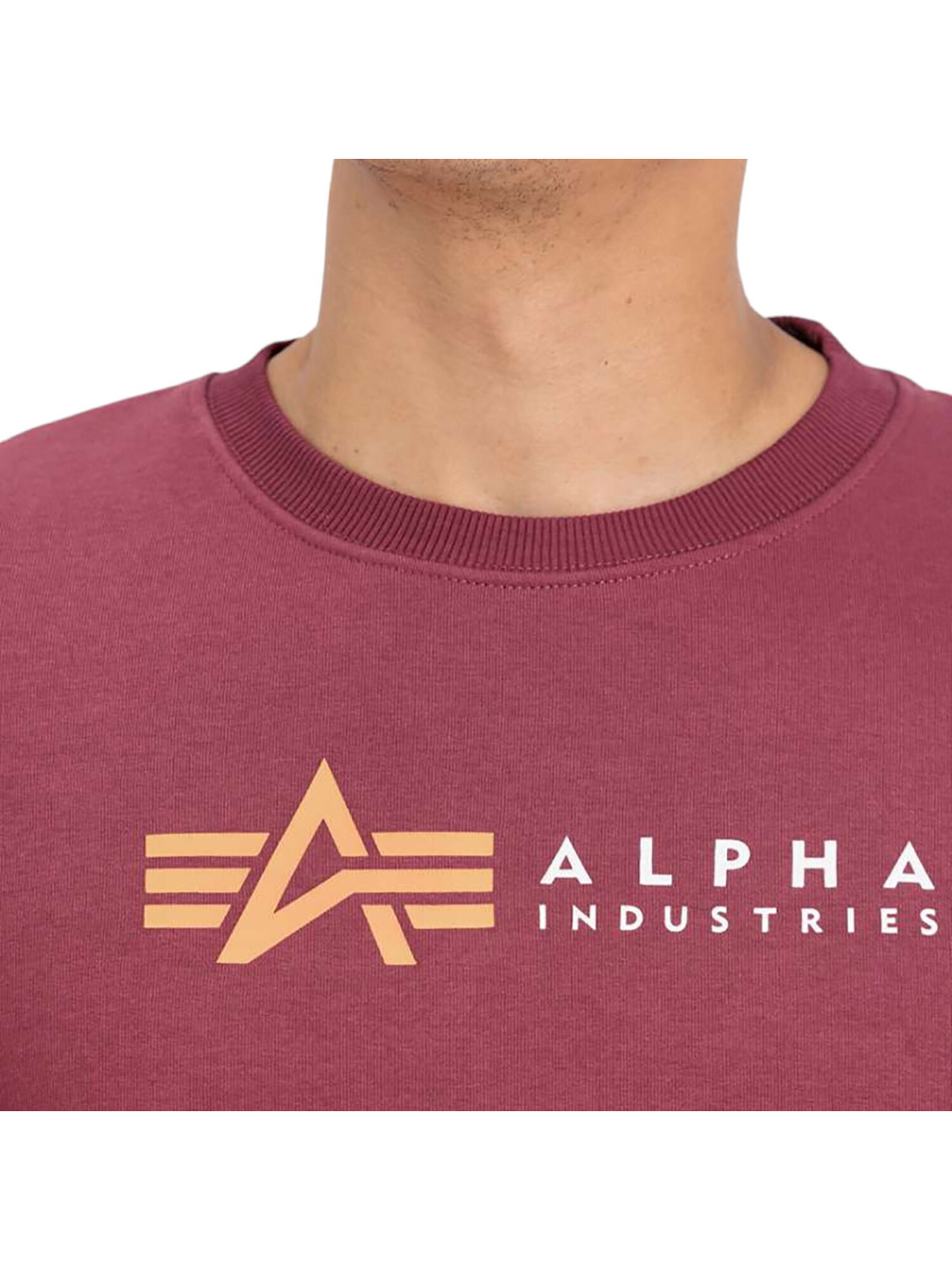ALPHA INDUSTRIES Sweatshirt 'Alpha Label' in Red