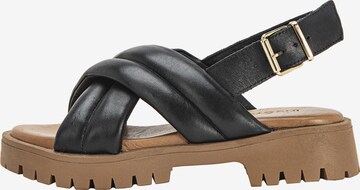 INUOVO Strap Sandals in Black