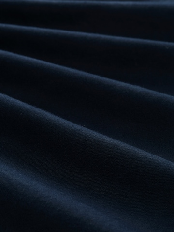 Regular Pantaloni eleganți de la TOM TAILOR Men + pe albastru