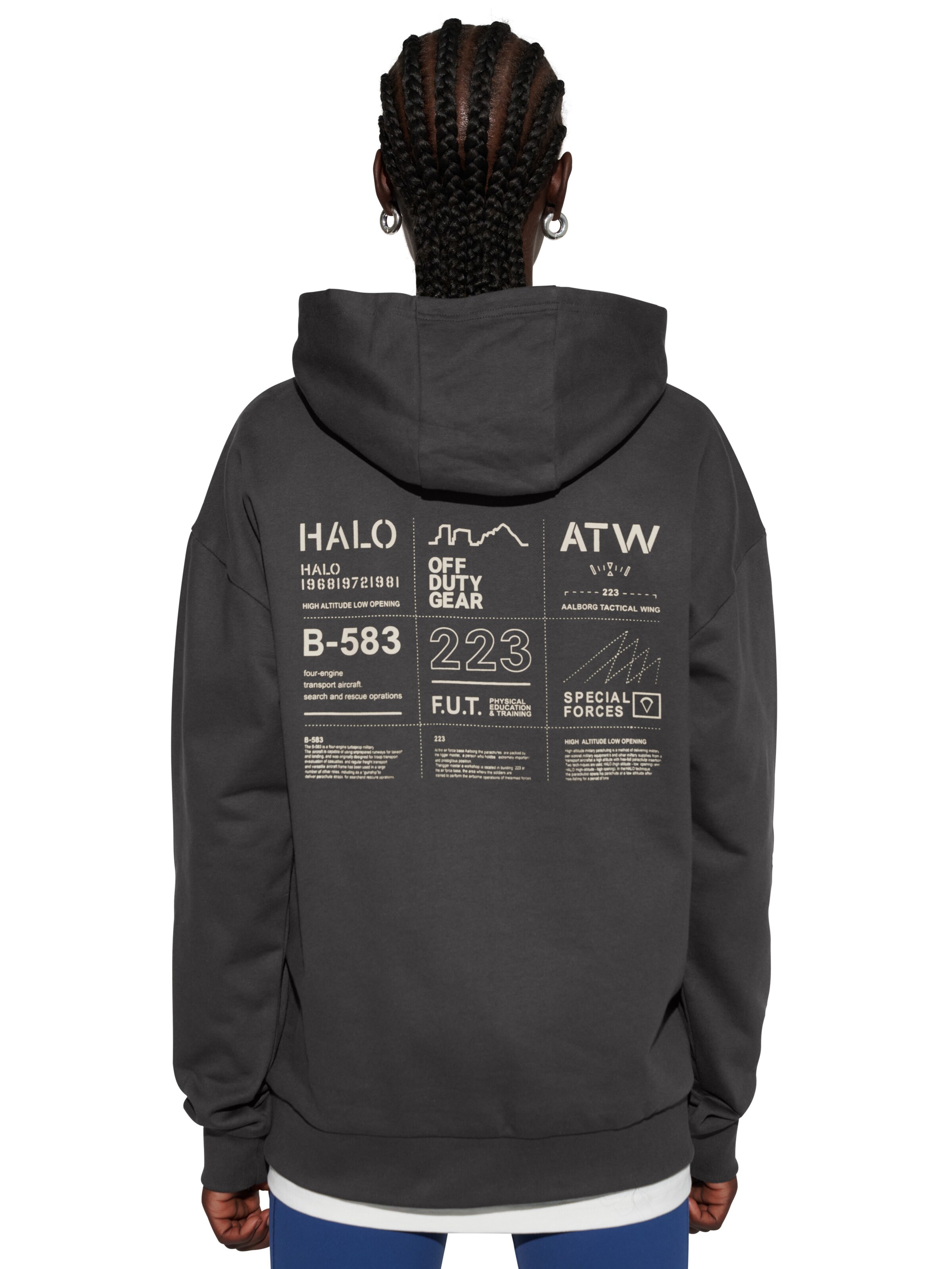 HALO Sweatshirt in Grey: front