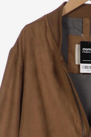 MANGO Jacket & Coat in L in Brown