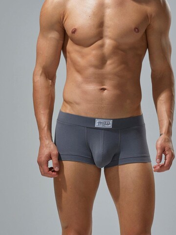 SEOBEAN Boxershorts in Grau