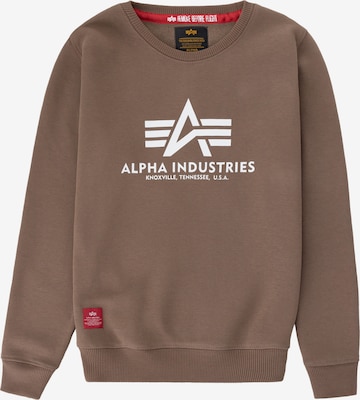 Felpa di ALPHA INDUSTRIES in marrone: frontale