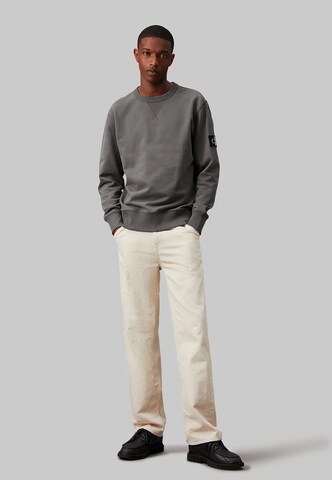 Calvin Klein Jeans Sweatshirt in Grey