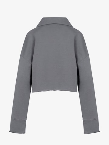 FEMSSY Mikina 'COLLAR SWEATSHIRT GREY' – šedá