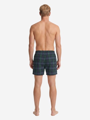 Boxers ' Combo ' Phil & Co. Berlin en bleu