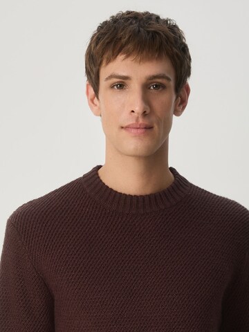 Next Sweater in Brown