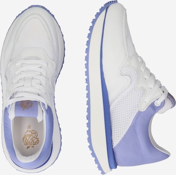 Apple of Eden Sneakers laag 'Lola' in Lila