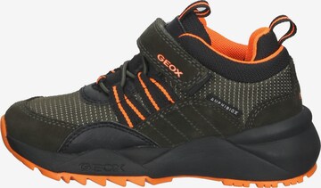 GEOX Sneaker in Grün