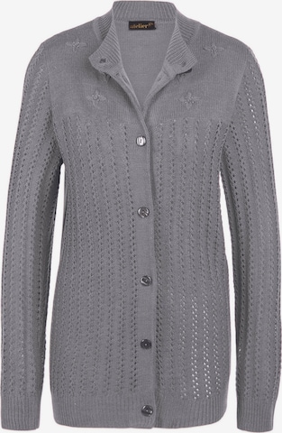 Cardigan Goldner en gris : devant