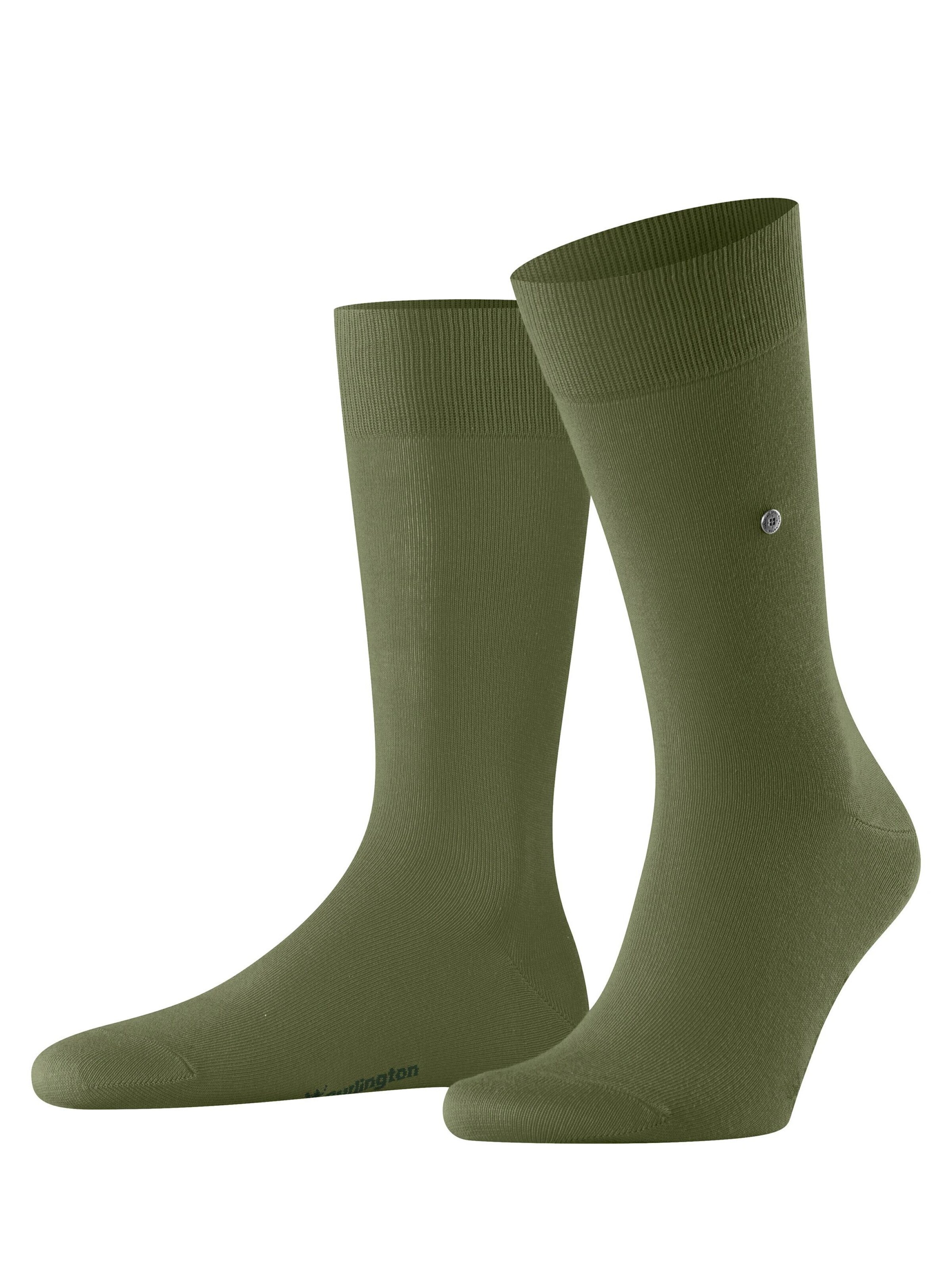 BURLINGTON Socken 'Lord'‌‌‌‌‌‌‌ in Grün: Vorderseite