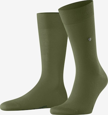 BURLINGTON Socken 'Lord' in Grün: Vorderseite