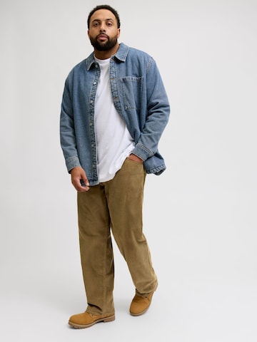 JACK & JONES regular Bukser 'JJ' i brun