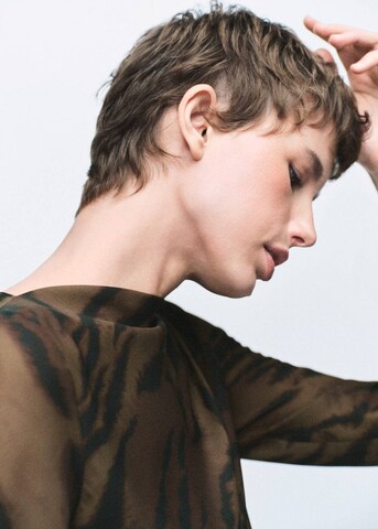 MANGO Dress in Brown