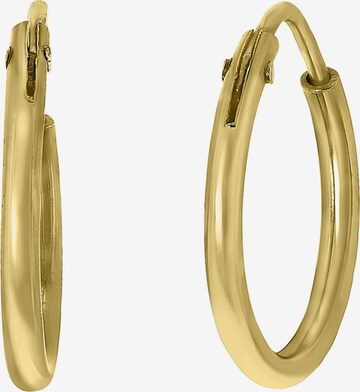 Lucardi Earrings in Gold: front