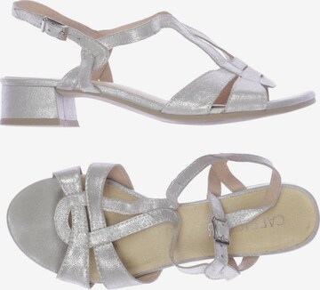 CAPRICE Sandals & High-Heeled Sandals in 38 in Silver: front