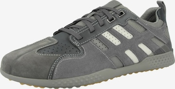 GEOX Sneaker in Grau: predná strana