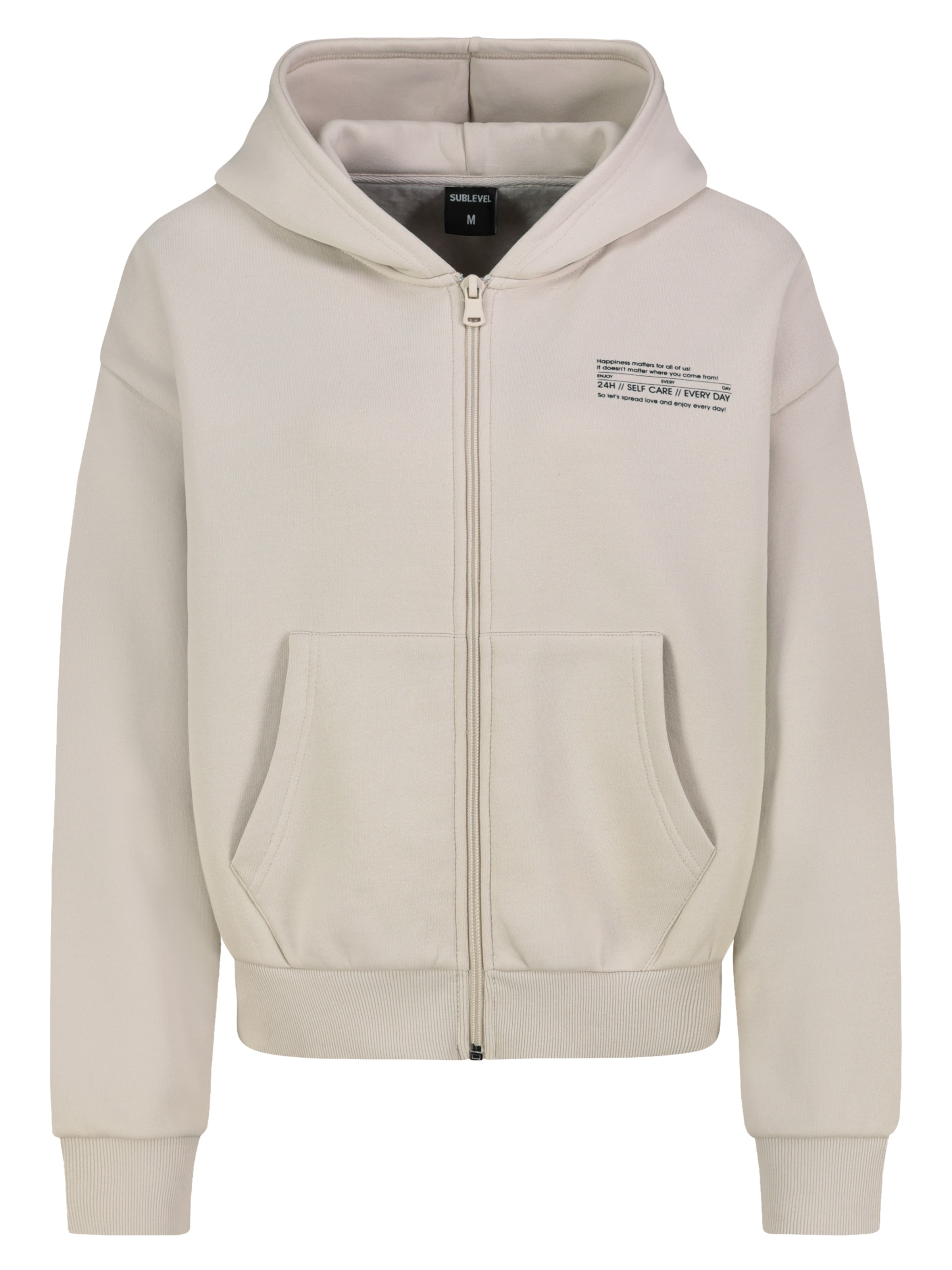 Sublevel Zip-Up Hoodie in Beige: front