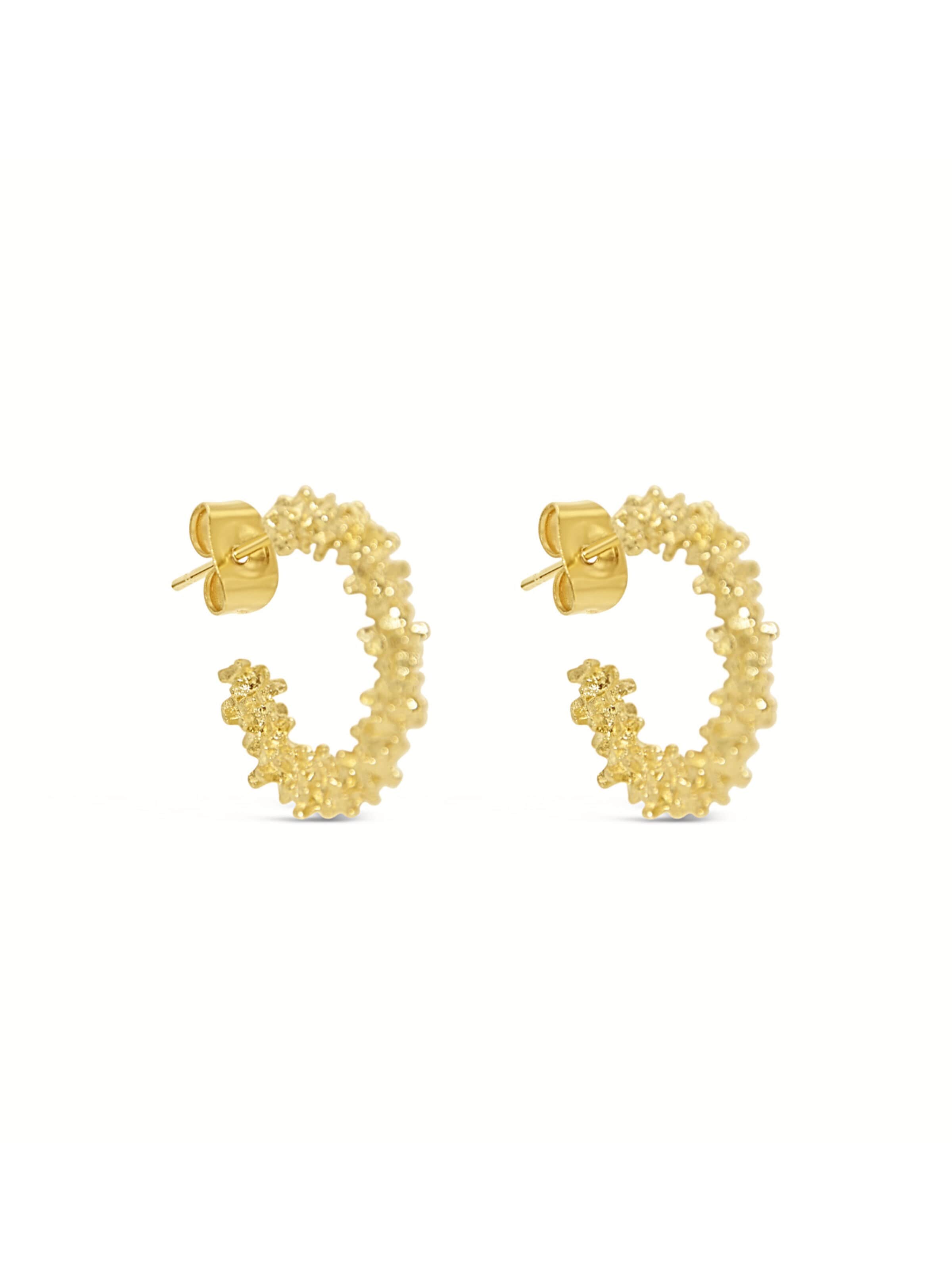 ARS-ARGENTI Ohrringe 'RICH B*TCH HOOPYS - gold'‌‌‌ in Gold