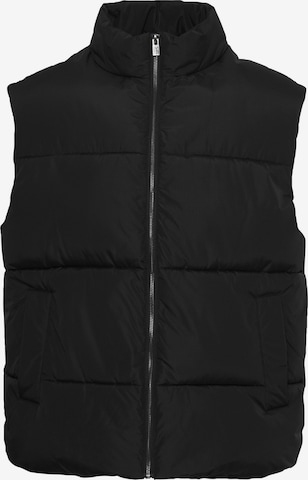 !Solid Vest 'Sdleo' in Black: front