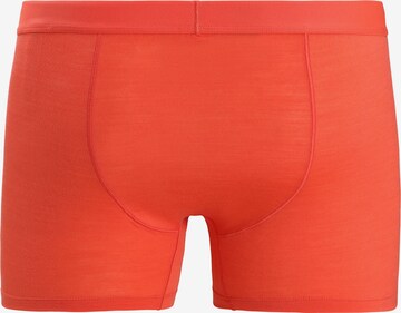 ICEBREAKER - Boxers 'Anatomica' em laranja