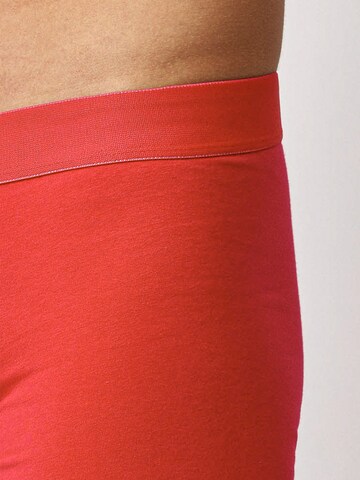 SNOCKS Trunks in Rot