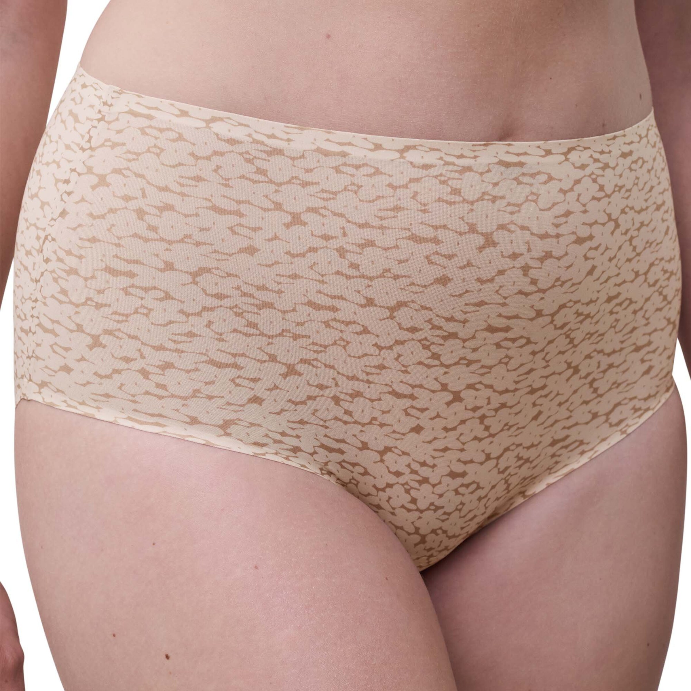 Chantelle Slip in Beige