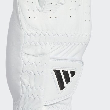 ADIDAS PERFORMANCE Athletic Gloves in White