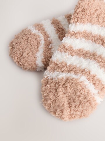 Next Sokken 'Bär' in Beige
