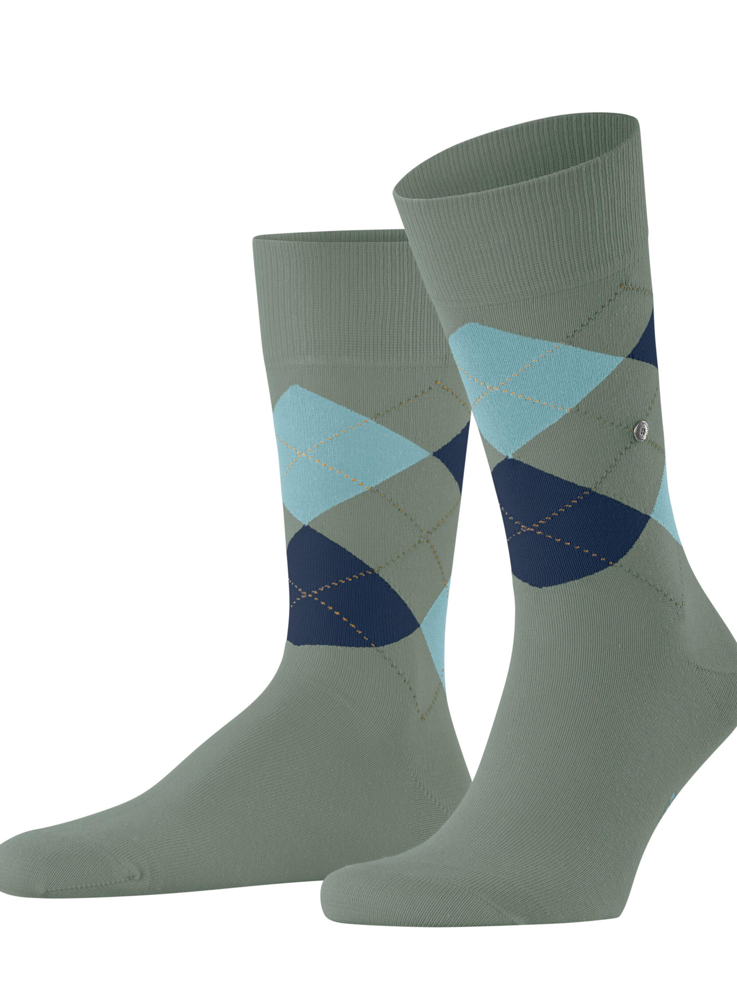 BURLINGTON Socken 'King'‌ in Grün: Vorderseite