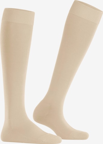FALKE Knee High Socks 'ClimaWool' in Beige: front