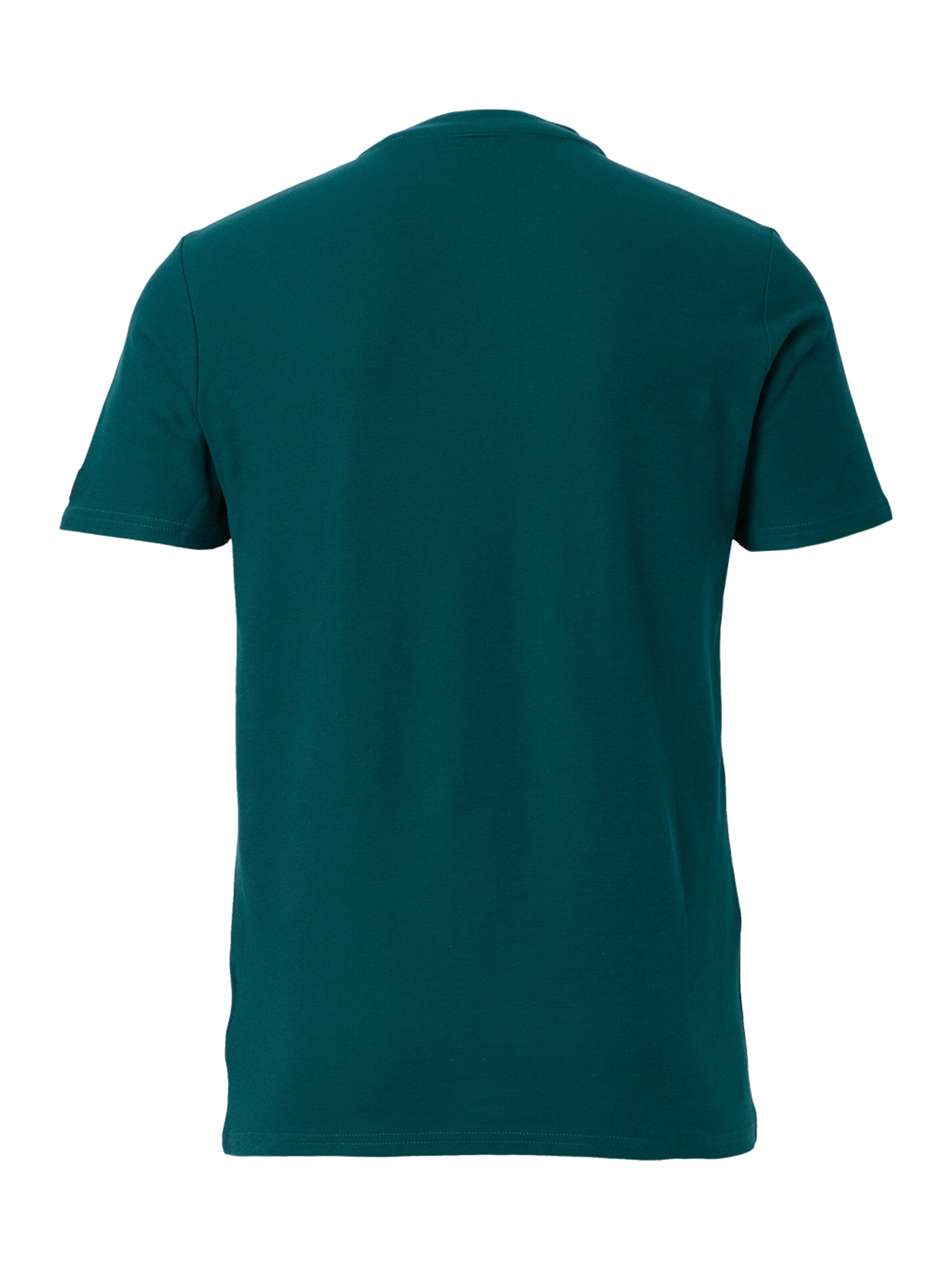 FORSBERG Shirt in Grün