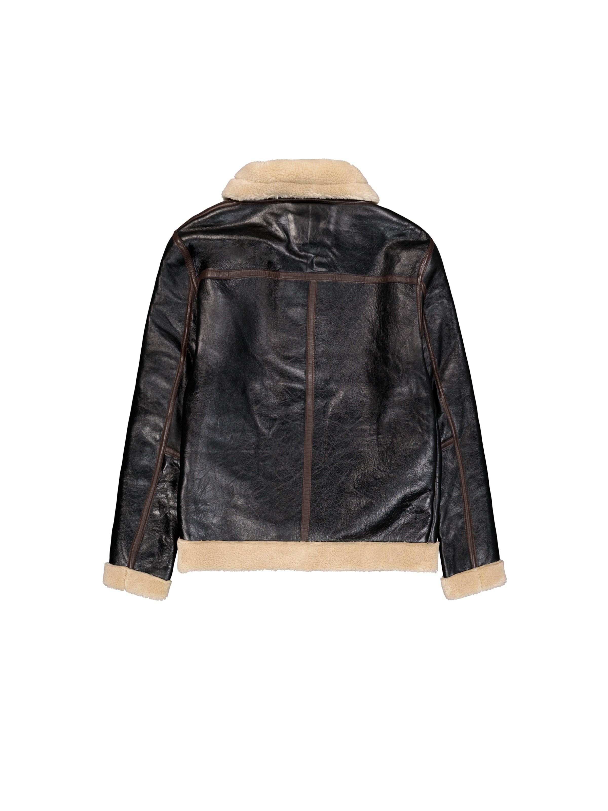 ALPHA INDUSTRIES Jacke 'USAAF D-1' in Schwarz: Rückseite