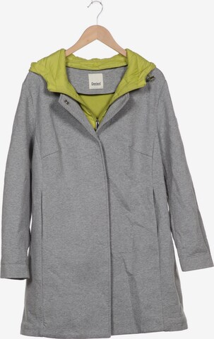 Deerberg Jacket & Coat in XXXL in Grey: front