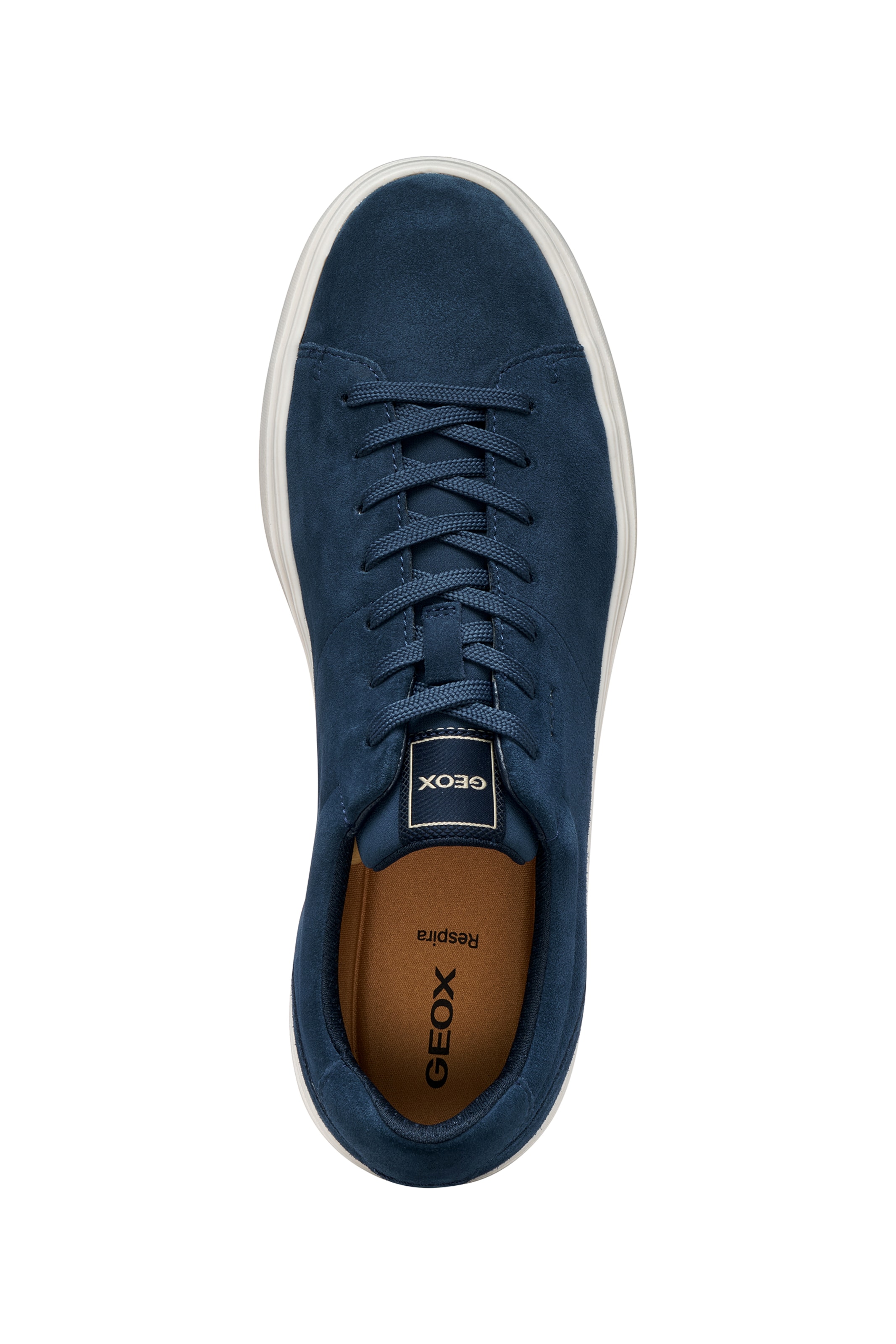 GEOX Platform trainers in Blue