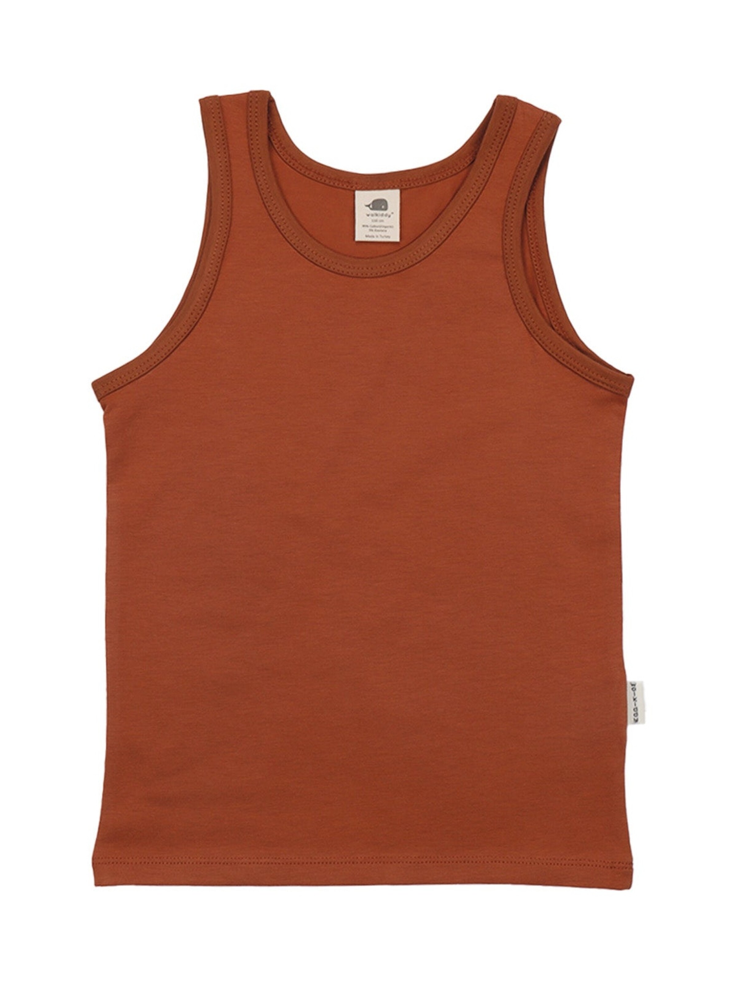 Walkiddy Undershirt 'Walkiddy - Dinasaur World Undershirt' in Brown