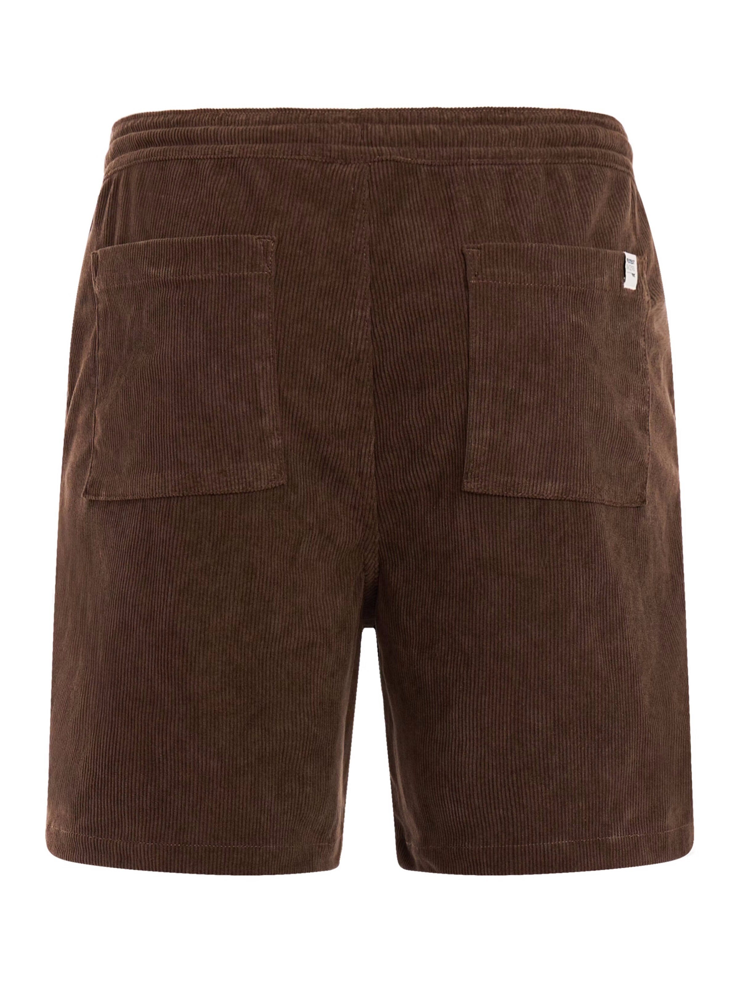 PROTEST Regular Pants in Brown