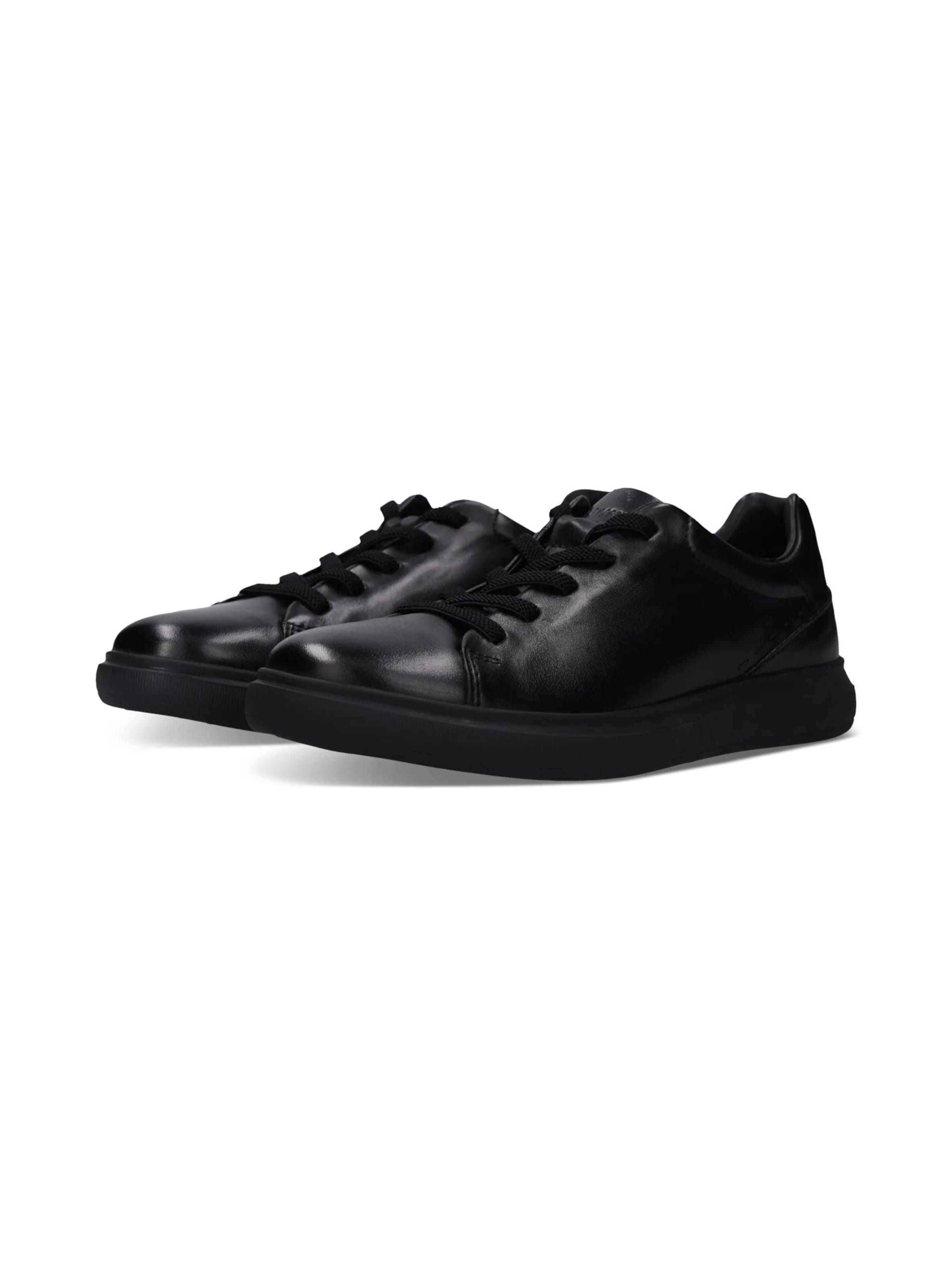 SALAMANDER Platform trainers in Black