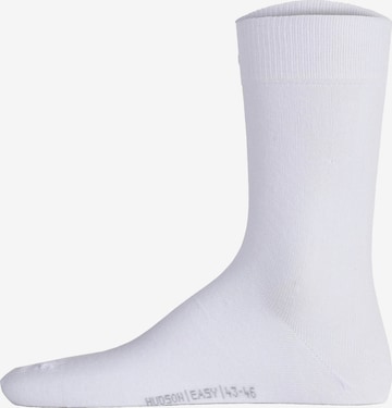 Calzino di Hudson in bianco: frontale