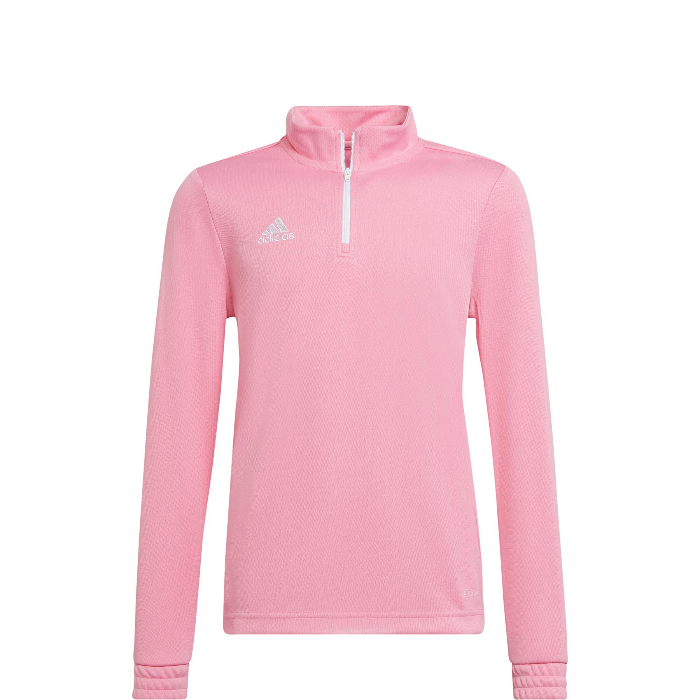 ADIDAS PERFORMANCE Funktionsshirt 'Entrada 22' in Pink: Vorderseite
